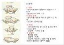 분만요소,단계,과정,분만 후 산모간호A++++++ 12페이지