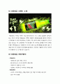 [분석/조사] 마케팅원론 - 독특하고, 특이하고 , 색다른 마케팅 성공사례( 마운틴듀 성공사례 - 마운틴듀 브랜드 소개, 마운틴듀 SWOT분석, 마운틴듀 STP 전략분석, 마운틴듀 마케팅 4P 전략분석, 성공요인 ) 3페이지