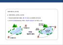 도로경관의 이해 및 설계 19페이지