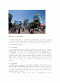 일본대중문화의 역사적 변천 46페이지