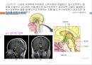 체온조절기전, 체온조절중추, 구심성회로, 원심성회로, 체온조절방법, 중성온도체온조절, 더운환경체온조절, 추운환경체온조절 4페이지