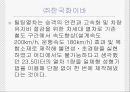 정주영 소개 및 새로운 사례 11페이지