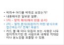 로샤-투사적 검사 4페이지