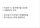 로샤-투사적 검사 7페이지