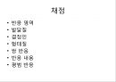 로샤-투사적 검사 21페이지