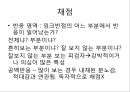 로샤-투사적 검사 23페이지