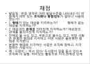 로샤-투사적 검사 24페이지