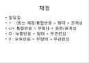 로샤-투사적 검사 25페이지