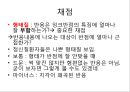로샤-투사적 검사 30페이지