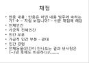 로샤-투사적 검사 31페이지