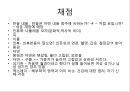 로샤-투사적 검사 32페이지