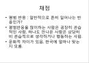 로샤-투사적 검사 33페이지