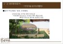 카페베네 기업분석,카페베네 마케팅,카페베네,브랜드마케팅,서비스마케팅,글로벌경영,사례분석,swot,stp,4p 25페이지