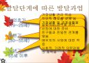 성인발달의 주요 이론,심리성적 발달이론,자아발달이론,발달과업이론,도덕성 발달이론 20페이지