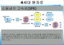 경수로란,경수로 사용 후 나오는 폐기물,고속로에 대하여,4세대 원자로,초고온가스로,초임계압수냉각원자로 10페이지