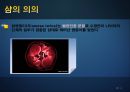 과학생명윤리,샴쌍둥이,샴의의의 유래 태어나는 이유,의학적측면,샴의 딜레마,자율성 존중의 원칙 4페이지