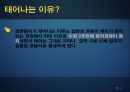과학생명윤리,샴쌍둥이,샴의의의 유래 태어나는 이유,의학적측면,샴의 딜레마,자율성 존중의 원칙 6페이지