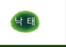 낙태란,낙태를 하는 원인,기독교에서 본 낙태의 관점,긍정적 입장 VS 부정적 입장,낙태 법률,혼전성교·미혼모 증가 1페이지
