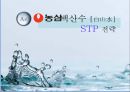 백산수 소개,생수시장 규모현황,생수SWOT 분석,브랜드마케팅,서비스마케팅,글로벌경영,사례분석,swot,stp,4p 1페이지