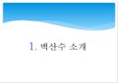백산수 소개,생수시장 규모현황,생수SWOT 분석,브랜드마케팅,서비스마케팅,글로벌경영,사례분석,swot,stp,4p 2페이지