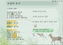 박목월의 초기 시,목월과 동시 청록파,시대사적 배경,박목월의 중기 시,청록파 내에서의 비교 13페이지