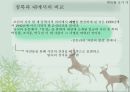 박목월의 초기 시,목월과 동시 청록파,시대사적 배경,박목월의 중기 시,청록파 내에서의 비교 15페이지