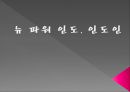 인도계 미국인,인도 성공사례,인도분석,뉴파워 인도, 인도인 성공 인물 사례 1페이지