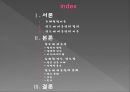 인도계 미국인,인도 성공사례,인도분석,뉴파워 인도, 인도인 성공 인물 사례 2페이지