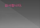 인도계 미국인,인도 성공사례,인도분석,뉴파워 인도, 인도인 성공 인물 사례 19페이지