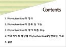 컬러푸드,색에 따른 효능,제7의 영양소,피토케미컬,피토케미컬 식물영양소 2페이지