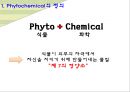 컬러푸드,색에 따른 효능,제7의 영양소,피토케미컬,피토케미컬 식물영양소 3페이지