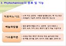 컬러푸드,색에 따른 효능,제7의 영양소,피토케미컬,피토케미컬 식물영양소 4페이지