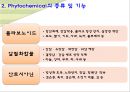 컬러푸드,색에 따른 효능,제7의 영양소,피토케미컬,피토케미컬 식물영양소 5페이지