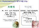 컬러푸드,색에 따른 효능,제7의 영양소,피토케미컬,피토케미컬 식물영양소 8페이지