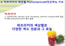 컬러푸드,색에 따른 효능,제7의 영양소,피토케미컬,피토케미컬 식물영양소 10페이지