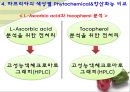 컬러푸드,색에 따른 효능,제7의 영양소,피토케미컬,피토케미컬 식물영양소 12페이지