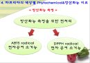 컬러푸드,색에 따른 효능,제7의 영양소,피토케미컬,피토케미컬 식물영양소 13페이지