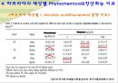 컬러푸드,색에 따른 효능,제7의 영양소,피토케미컬,피토케미컬 식물영양소 15페이지