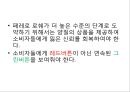 페레로 로쉐의 마케팅,광고와 감성마케팅,페레로의 감성마케팅,아트 마케팅,페레로의 아트 마케팅,SNS 마케팅,러브마크로서의 페레로로쉐 17페이지