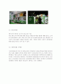 네이버라인 LINE 서비스소개와 상황분석, 네이버라인 마케팅 성공전략 사례, 네이버라인 SWOT분석과 차별화전략, 네이버라인 향후시사점연구 17페이지