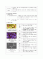 식품과 건강 5페이지