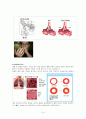 폐결핵(pulmonary tuberculosis)-케이스 16페이지