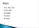 브이다이어그램과 개념도 19페이지
