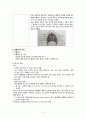 성인간호학) 호흡기계구조와 기능 7페이지