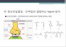 단백질 공학-세포내 구성물 및 입체구조해석 13페이지