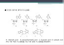 단백질 공학-세포내 구성물 및 입체구조해석 18페이지