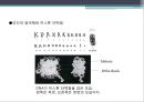 단백질 공학-세포내 구성물 및 입체구조해석 20페이지
