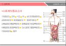 ★ 인체해부학 - 소화기계, 역류성 식도염 ( 구강, 치아, 타액선, 인두, 소화관의 벽, 식도, 위, 소장, 대장, 직장과 항문, 역류성 식도염 증상, 역류성 식도염 검사, 역류성 식도염 수술적 치료, 역류성 식도염 내 4페이지