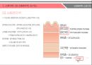 ★ 인체해부학 - 소화기계, 역류성 식도염 ( 구강, 치아, 타액선, 인두, 소화관의 벽, 식도, 위, 소장, 대장, 직장과 항문, 역류성 식도염 증상, 역류성 식도염 검사, 역류성 식도염 수술적 치료, 역류성 식도염 내 14페이지