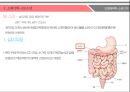 ★ 인체해부학 - 소화기계, 역류성 식도염 ( 구강, 치아, 타액선, 인두, 소화관의 벽, 식도, 위, 소장, 대장, 직장과 항문, 역류성 식도염 증상, 역류성 식도염 검사, 역류성 식도염 수술적 치료, 역류성 식도염 내 20페이지
